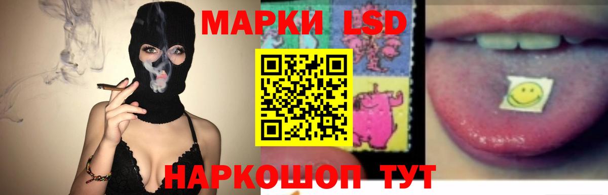 ГАШИШ Гай
